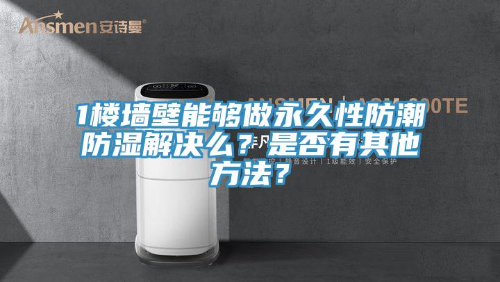 1樓墻壁能夠做永久性防潮防濕解決么？是否有其他方法？