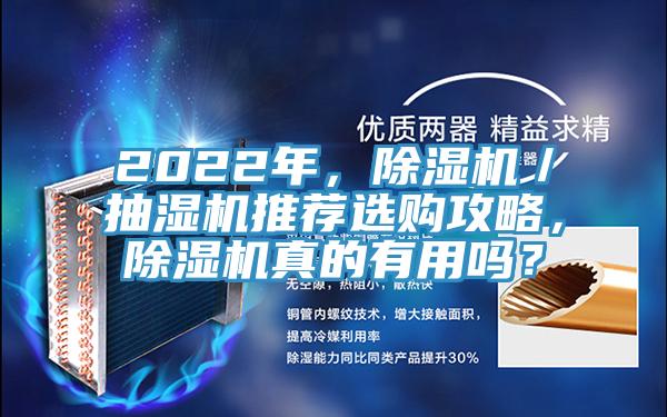 2022年，除濕機／抽濕機推薦選購攻略，除濕機真的有用嗎？