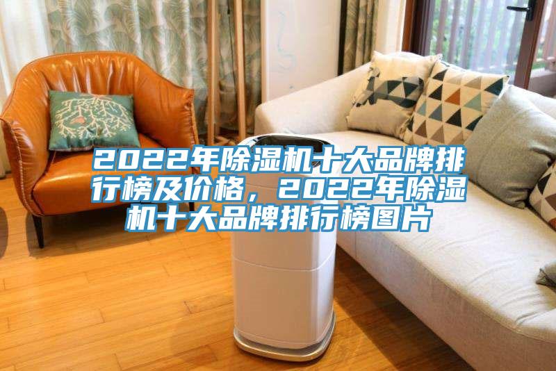 2022年除濕機十大品牌排行榜及價格，2022年除濕機十大品牌排行榜圖片
