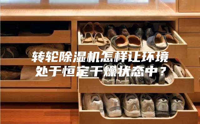 轉輪除濕機怎樣讓環境處于恒定干燥狀態中？