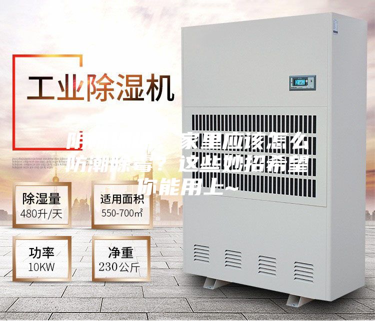 陰雨綿綿,家里應該怎么防潮除霉?這些妙招希望你能用上~