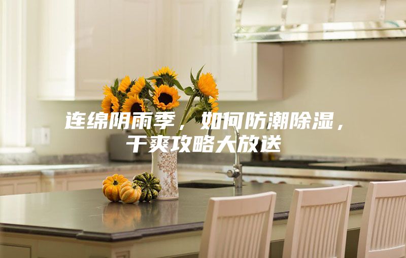 連綿陰雨季，如何防潮除濕，干爽攻略大放送