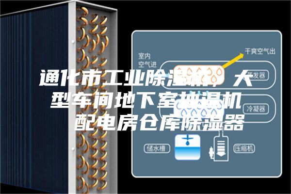 通化市工業(yè)除濕機，大型車間地下室抽濕機  配電房倉庫除濕器