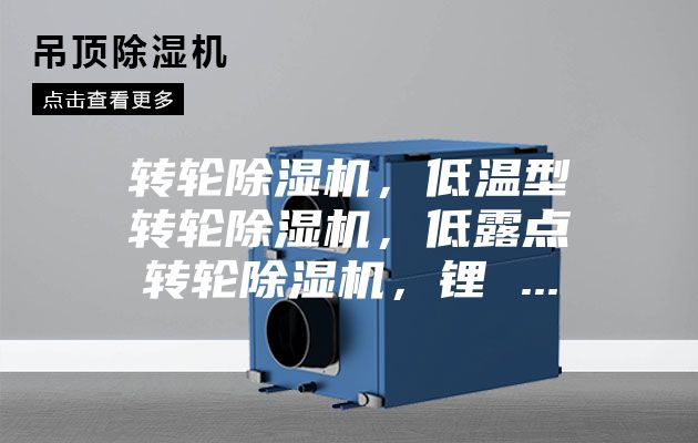 轉輪除濕機，低溫型轉輪除濕機，低露點轉輪除濕機，鋰 ...