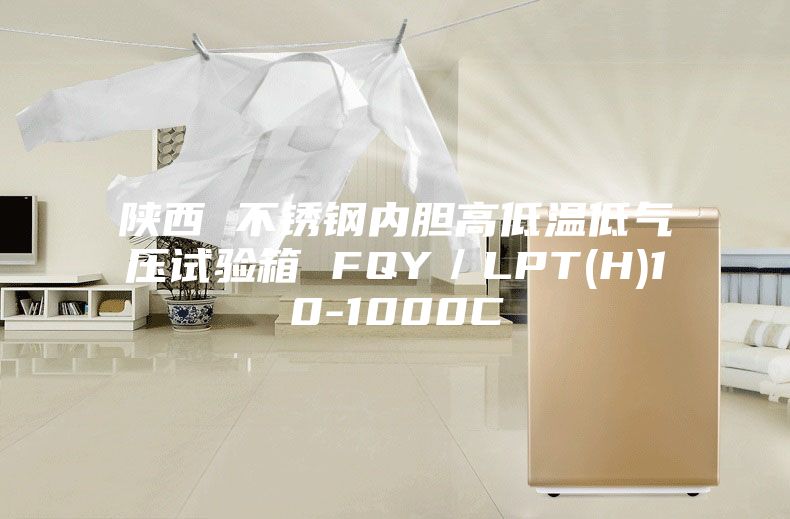 陜西 不銹鋼內膽高低溫低氣壓試驗箱 FQY/LPT(H)10-1000C