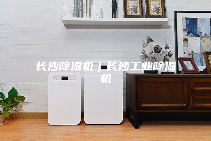 長沙除濕機|長沙工業除濕機