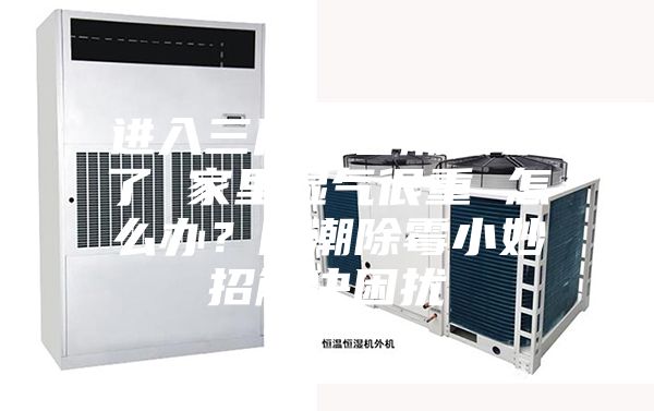 進入三月“春潮”來了 家里濕氣很重 怎么辦?防潮除霉小妙招解決困擾