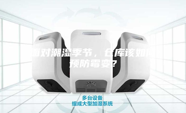 面對潮濕季節(jié)，倉庫該如何預防霉變？