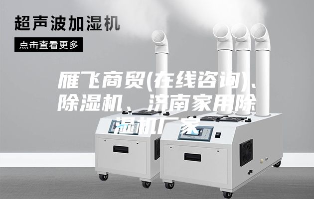 雁飛商貿(在線咨詢)、除濕機、濟南家用除濕機廠家