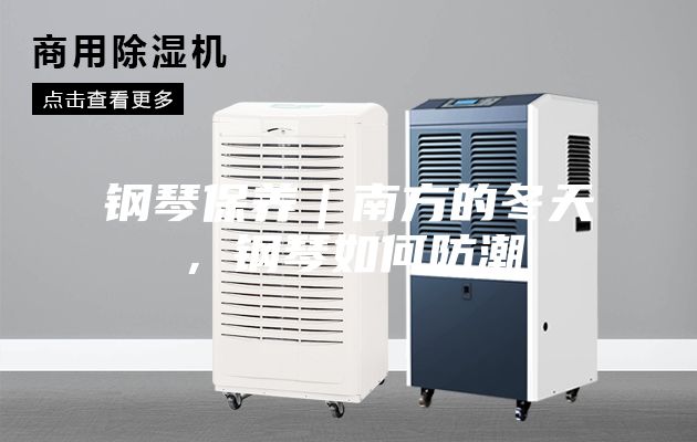 鋼琴保養(yǎng)|南方的冬天,鋼琴如何防潮