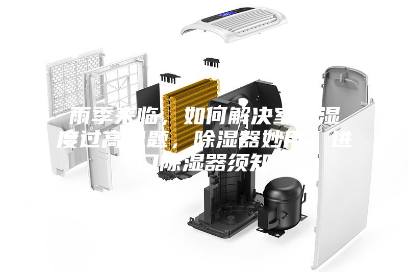 雨季來臨,如何解決室內濕度過高問題,除濕器妙用,進口除濕器須知