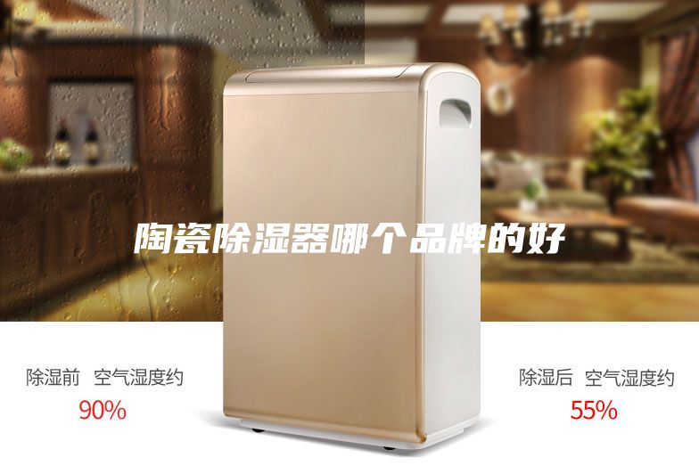 陶瓷除濕器哪個品牌的好
