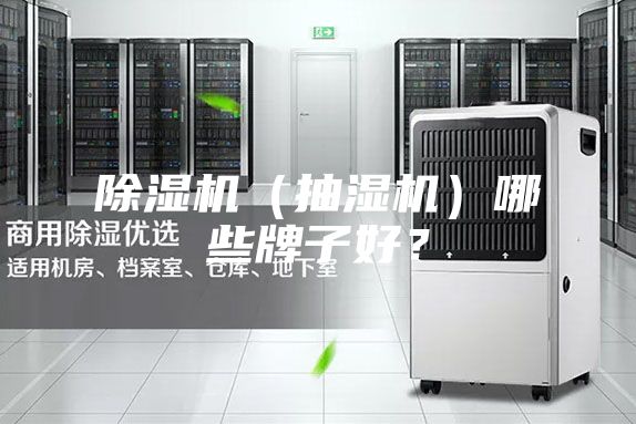 除濕機(jī)(抽濕機(jī))哪些牌子好?