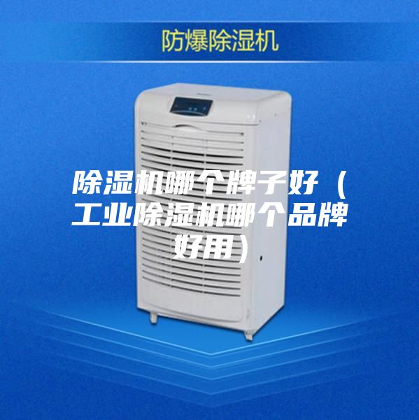 除濕機哪個牌子好(工業除濕機哪個品牌好用)