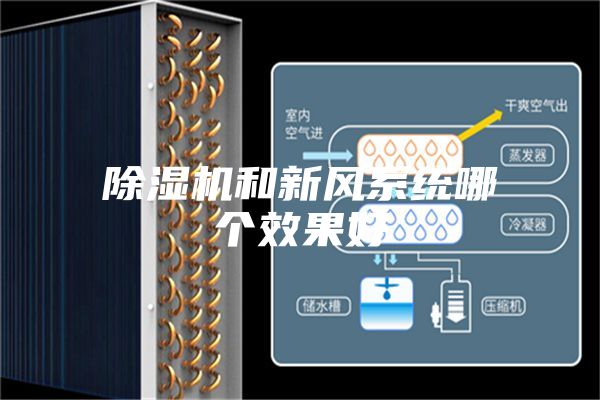除濕機和新風系統哪個效果好
