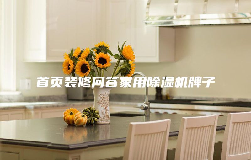 首頁裝修問答家用除濕機(jī)牌子