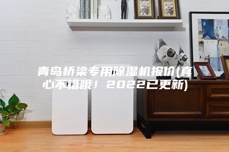 青島橋梁專用除濕機(jī)報(bào)價(jià)(真心不錯(cuò)哦！2022已更新)