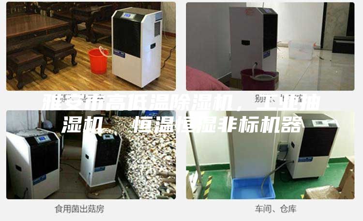 雅安市高低溫除濕機(jī),工業(yè)抽濕機(jī) 恒溫恒濕非標(biāo)機(jī)器