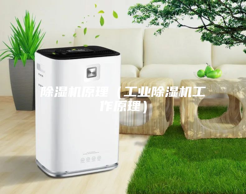除濕機原理(工業除濕機工作原理)