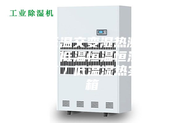 高低溫交變濕熱測(cè)試箱/低溫恒溫恒濕試驗(yàn)箱/低溫濕熱實(shí)驗(yàn)箱