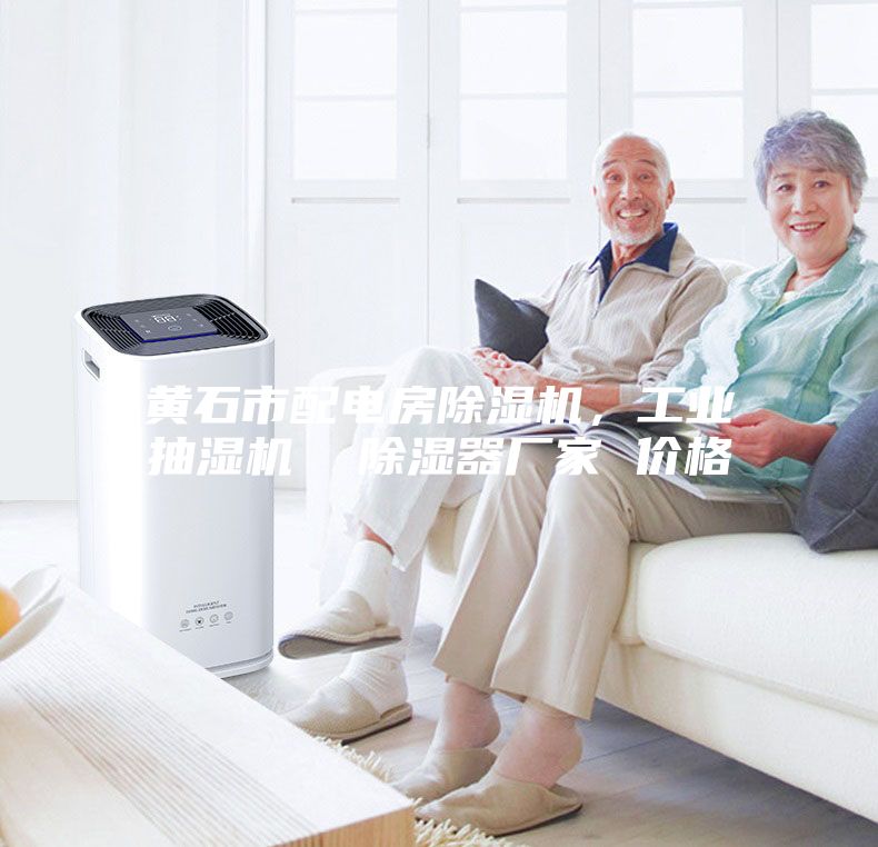 黃石市配電房除濕機,工業(yè)抽濕機 除濕器廠家 價格
