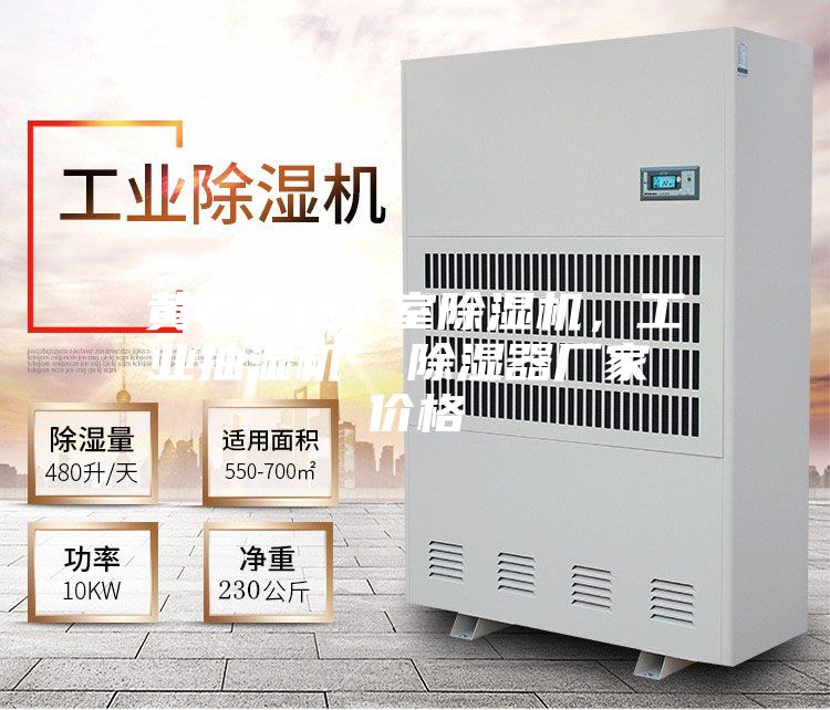 黃石市地下室除濕機,工業(yè)抽濕機 除濕器廠家 價格