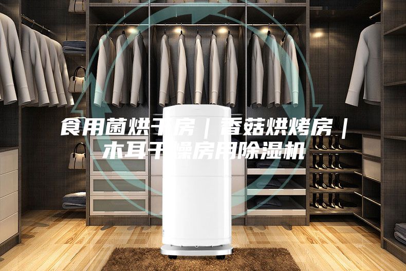 食用菌烘干房|香菇烘烤房|木耳干燥房用除濕機(jī)