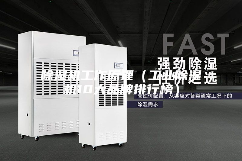 除濕機(jī)工作原理(工業(yè)除濕機(jī)10大品牌排行榜)