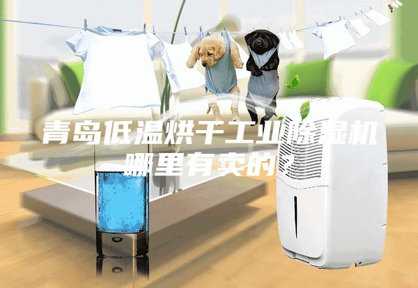 青島低溫烘干工業除濕機哪里有賣的?